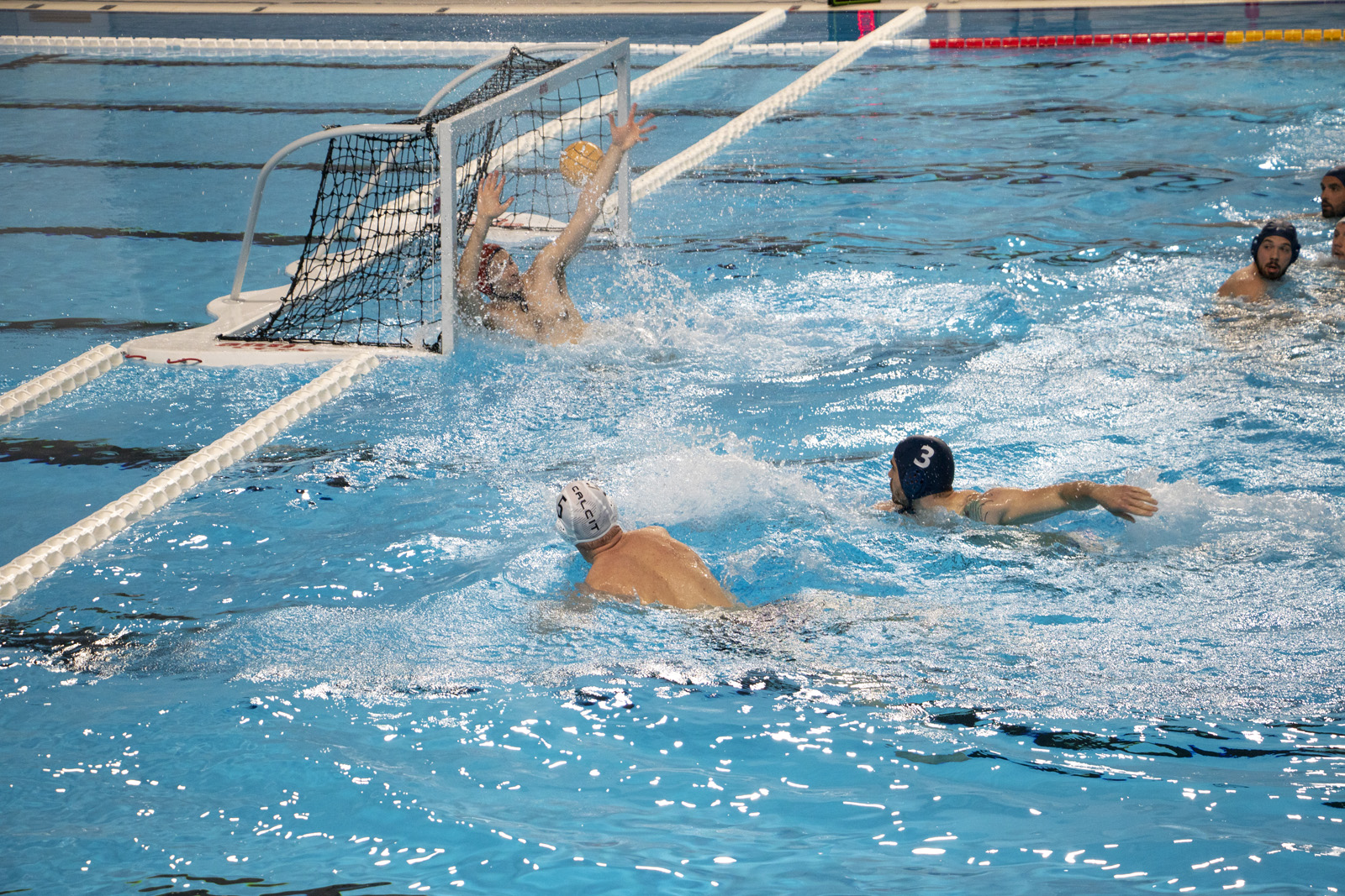 Calcit Waterpolo za las boljši od VD Koper 1958